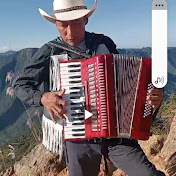 Profile Picture of  Joel Pardo🪗 (@JoelPardoOficial) on Youtube