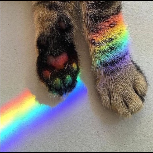 Profile Picture of Ally Macbeth (@vivialungo) on Poshmark