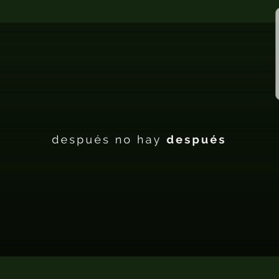 Profile Picture of Paula Morrone (@paumorrone) on Twitter