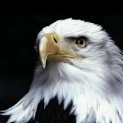 Profile Picture of Andrew Tseng (@rikandrew) on Youtube