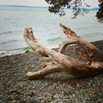 Profile Picture of Katie Congelli (@ebbandflowmetals) on Instagram