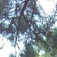 Profile Picture of Chad Harrington (@chad-harrington-8) on Quora