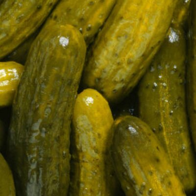 Profile Picture of Dylan Hitt (@pick_pickle) on Twitter