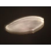 Profile Picture of Steven Sontag (@stevensontag3825) on Youtube