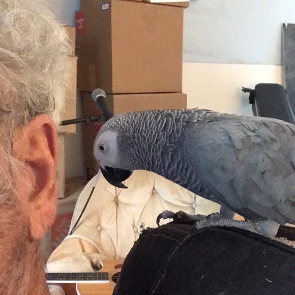 Profile Picture of Daniel Barry (@cococarryon) on Poshmark