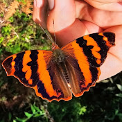 Profile Picture of Zerife (@aykaaliyevna4915) on Youtube