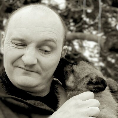 Profile Picture of Yann ARMAND (@yarmand) on Twitter