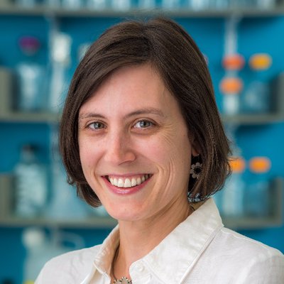 Profile Photo of Sarah Boswell (@DrBozGinkgo) on Twitter