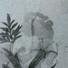 Profile Picture of Amelia Arocha Robles (@aarochaelc) on Pinterest