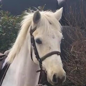 Profile Picture of Peter Morton (@petermorton6564) on Youtube