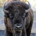Profile Picture of Peter Meffert (@meffert0077) on Pinterest