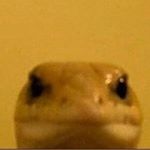 Profile Picture of Jason McArthur (@j.m_171) on Instagram