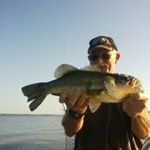 Profile Picture of Harry (@harryswoyer) on Pinterest