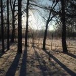 Profile Picture of Dawn Pendergrass (@dmpendergrass) on Instagram