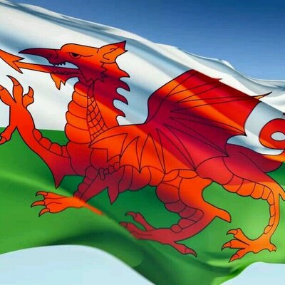 Profile Picture of Jo Perkins (@celticjojo) on Twitter