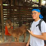 Profile Picture of Tommy KWAN (@tommy_kwan99) on Instagram