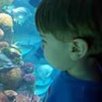 Profile Picture of Jeffrey Lynes (@jeffreylynes) on Instagram