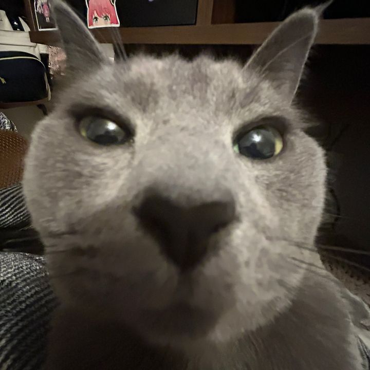 Profile Picture of Chrissey (@chriscloud) on Tiktok