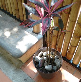 Profile Picture of Valentin Becerra (@valentin.becerra.169) on Facebook