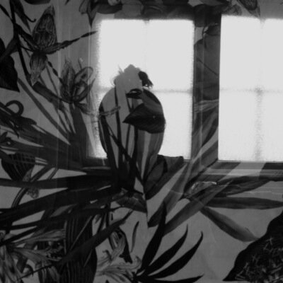 Profile Picture of Nora Molnar (@molnar_nora) on Twitter