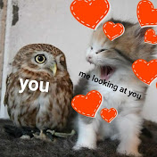 Profile Picture of Trevor McConnell (@trevormcconnell972) on Youtube