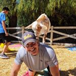 Profile Picture of Sean Dailey (@seandailey01) on Instagram