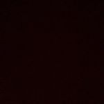 Profile Picture of Cyrus Daniels (@cyrusdaniels12) on Instagram