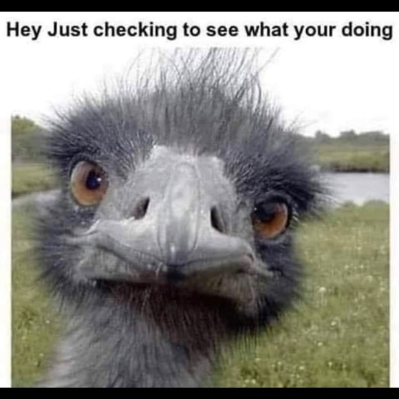 Profile Picture of Thomas Burns (@thomasburns515) on Poshmark