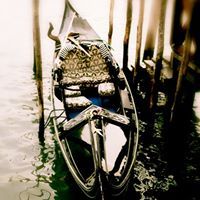 Profile Picture of Marion Jones (@marionjones3304) on Pinterest