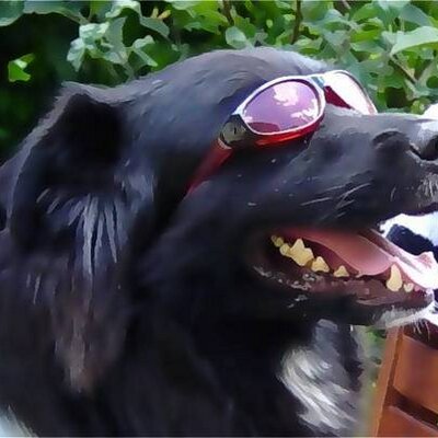 Profile Picture of Hans-peter Ritter (@hpritter) on Twitter