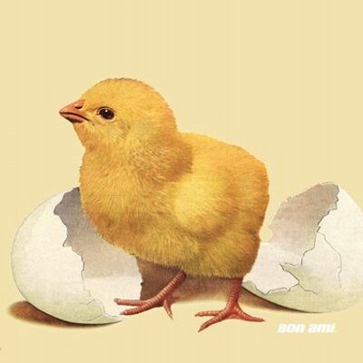 Profile Picture of Kim Devlin (@KimberlyAnn_) on Twitter