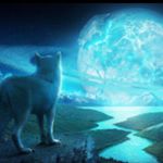 Profile Picture of Nicholas Nalley (@sabertooth2059) on Instagram