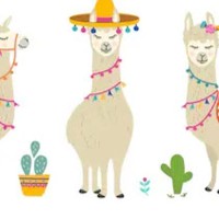 Profile Picture of Meredith Werner (@meredith-werner-3) on Quora