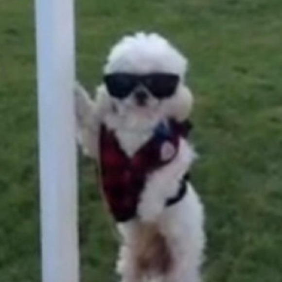 Profile Picture of Natalia Hryniuk (@natuslol) on Poshmark