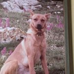 Profile Picture of Philip Allsopp (@philip.allsopp) on Instagram