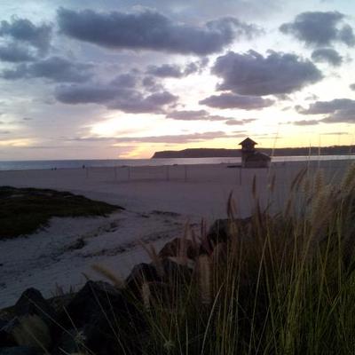 Profile Picture of  ⚡️ ⚡️ EDUARDO VALERIO ⚡️ ⚡️ (@SDBigBadWolf) on Twitter