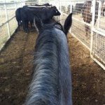 Profile Picture of Conrad Cantu (@conradcantu) on Instagram