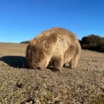 Profile Picture of Travis Hutchins (@Travis-Hutchins) on Facebook