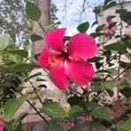 Profile Picture of Shaon Hasan (@Shaon-Hasan) on Facebook