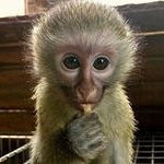 Profile Picture of samo sa psihičkim poremećajem (@merlin__priv) on Instagram