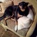 Profile Picture of David Poppel (@leppopd) on Pinterest