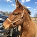 Profile Picture of Tom Ponko (Thomas D. Ponko) (@grubus.plonka.9) on Facebook