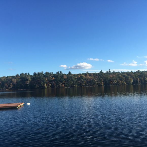 Profile Picture of Rachel Pfister (@rachelpfi) on Poshmark