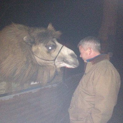 Profile Picture of Ben Bowden (@JudgeBenBowden) on Twitter