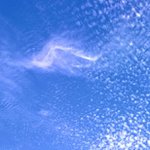 Profile Picture of briantydingsartist (@briantydingsartist) on Instagram