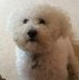 Profile Picture of Janice Mcgregor (@janice.mcgregor.942) on Facebook