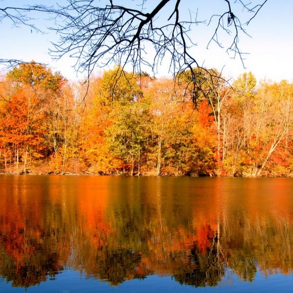 Profile Picture of Matt Maraldo (@matthewmaraldo) on Poshmark