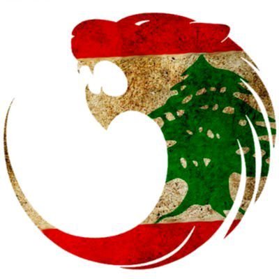 Profile Picture of Adam M.H Diab (@AdamMdiab1) on Twitter