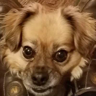 Profile Picture of Gwyn Stephen (@GwynStephen2) on Twitter