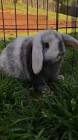 Profile Picture of   He's a bit skittish but... (@lizziedunn417) on Tiktok